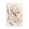 Soft White Iris Print