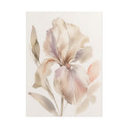 Soft White Iris Print