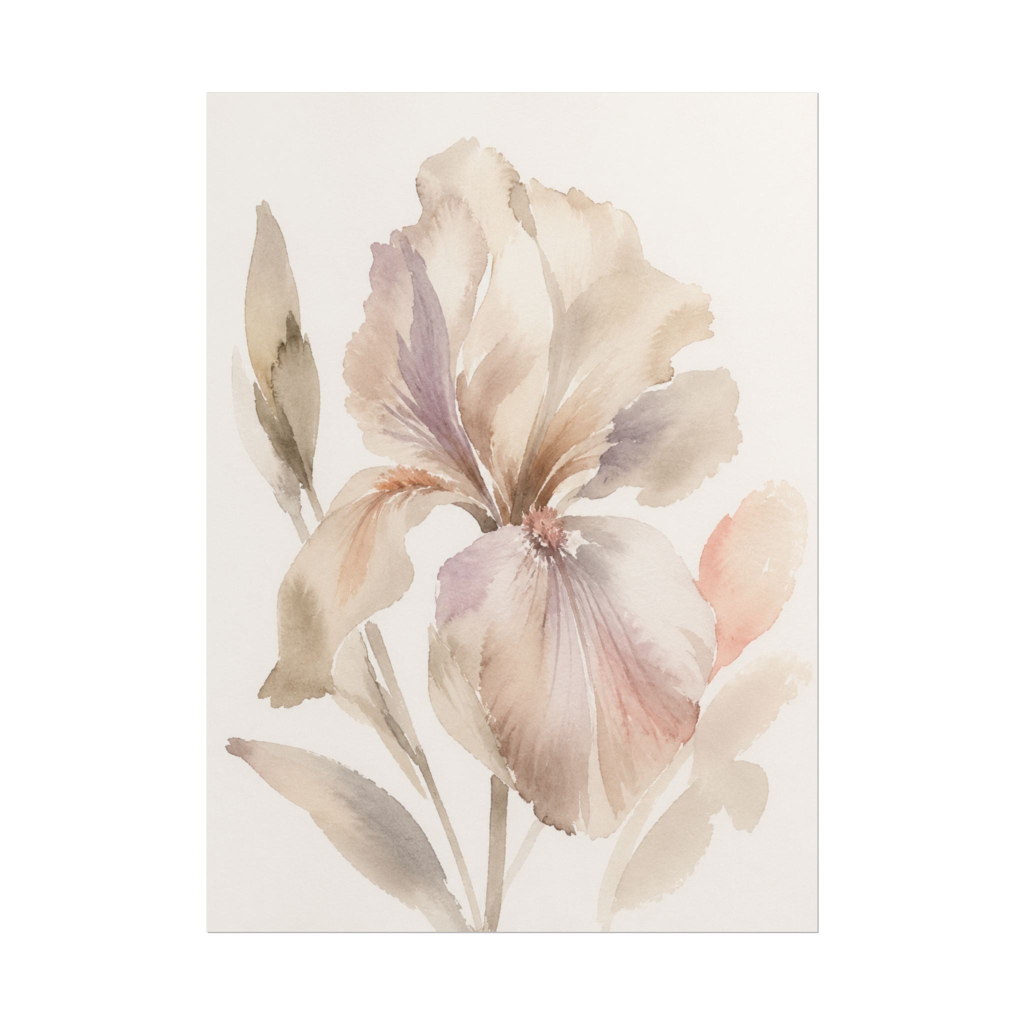 Soft White Iris Print