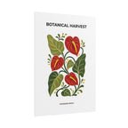 Anthurium Botanical Print