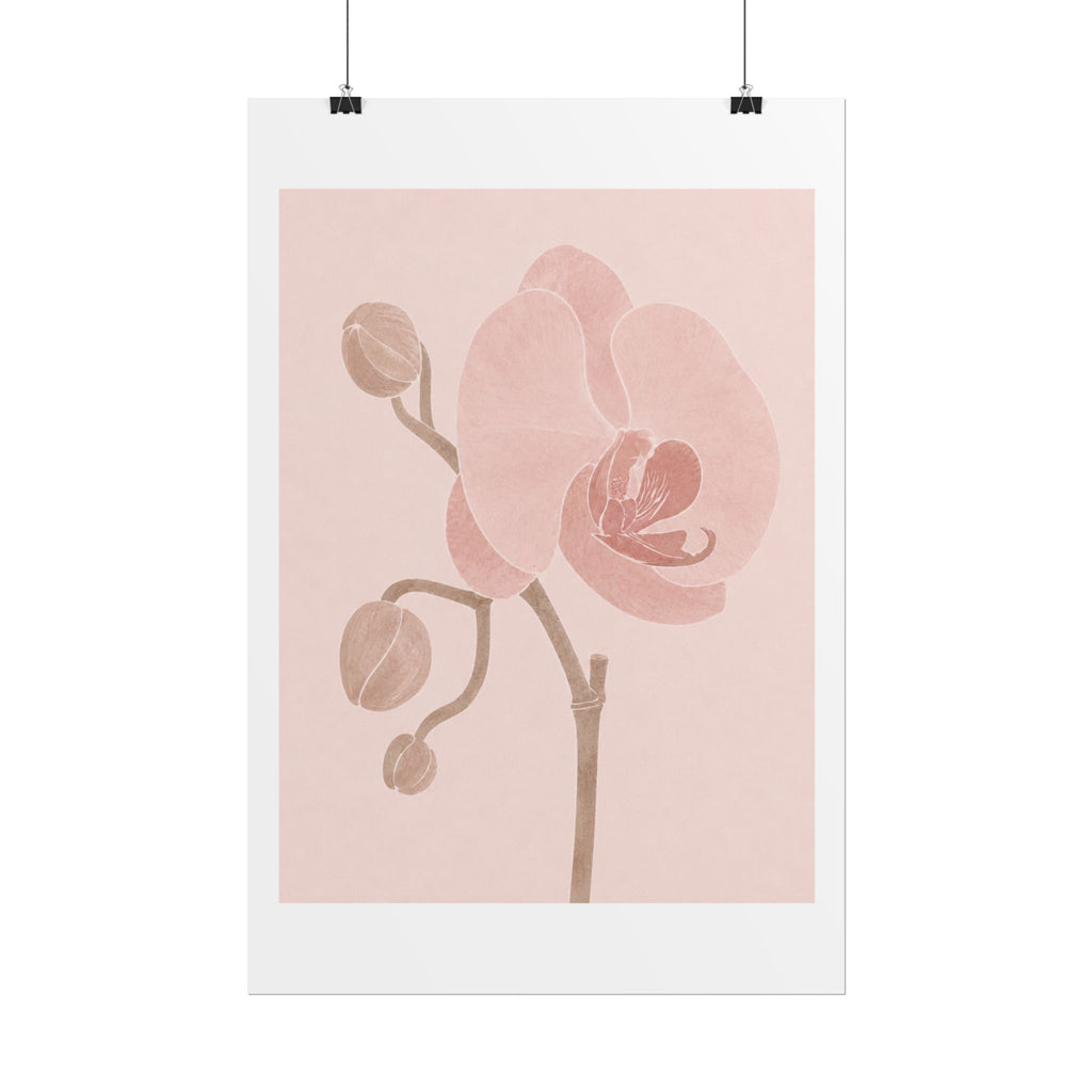 Soft Pink Orchid Print