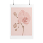 Soft Pink Orchid Print