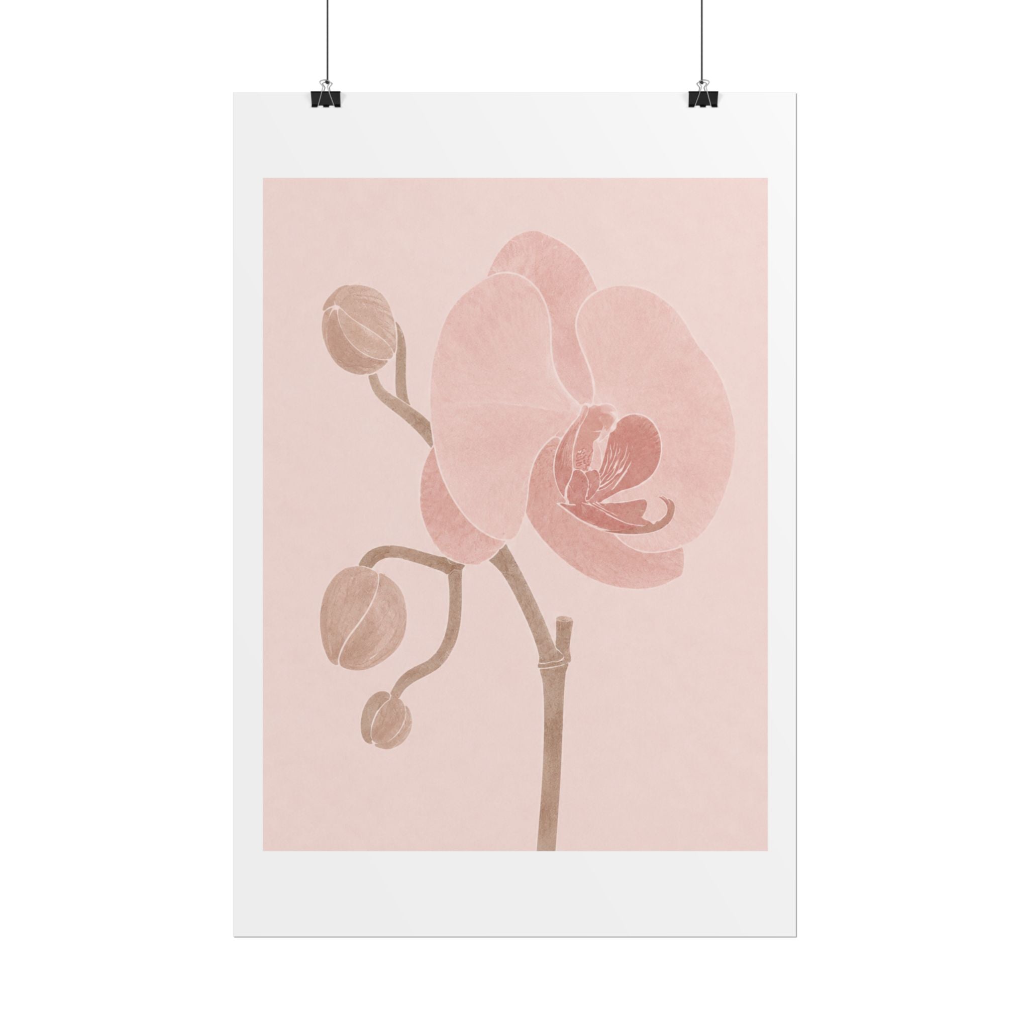 Soft Pink Orchid Print