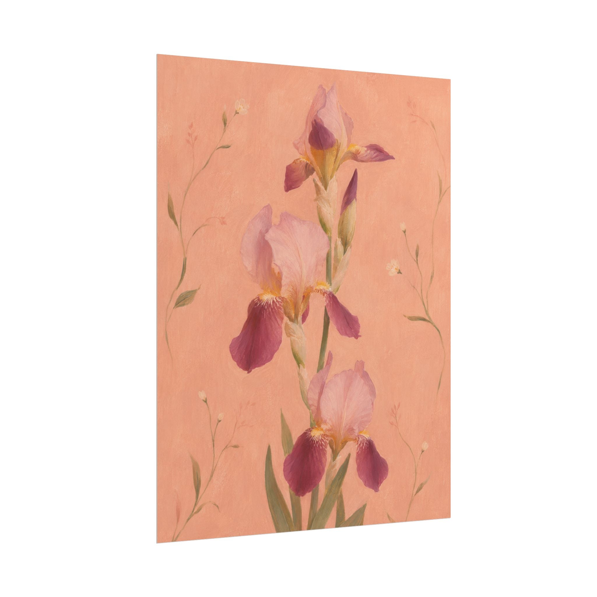 Blush Iris Print