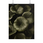 Round Leaf Botanical Print