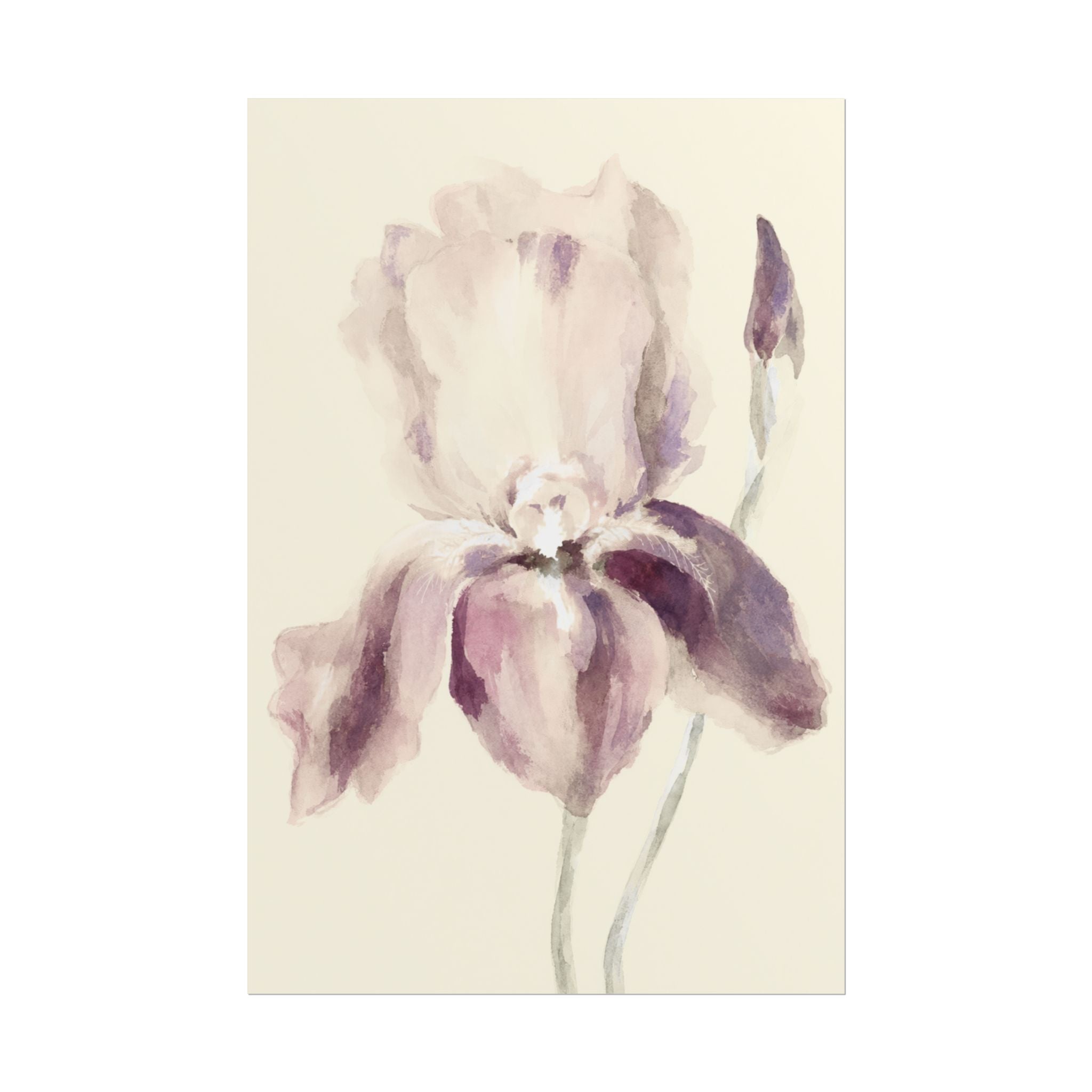 Purple Iris Print