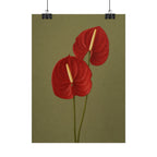 Red Anthurium Print