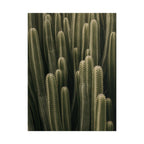 Column Cactus Print