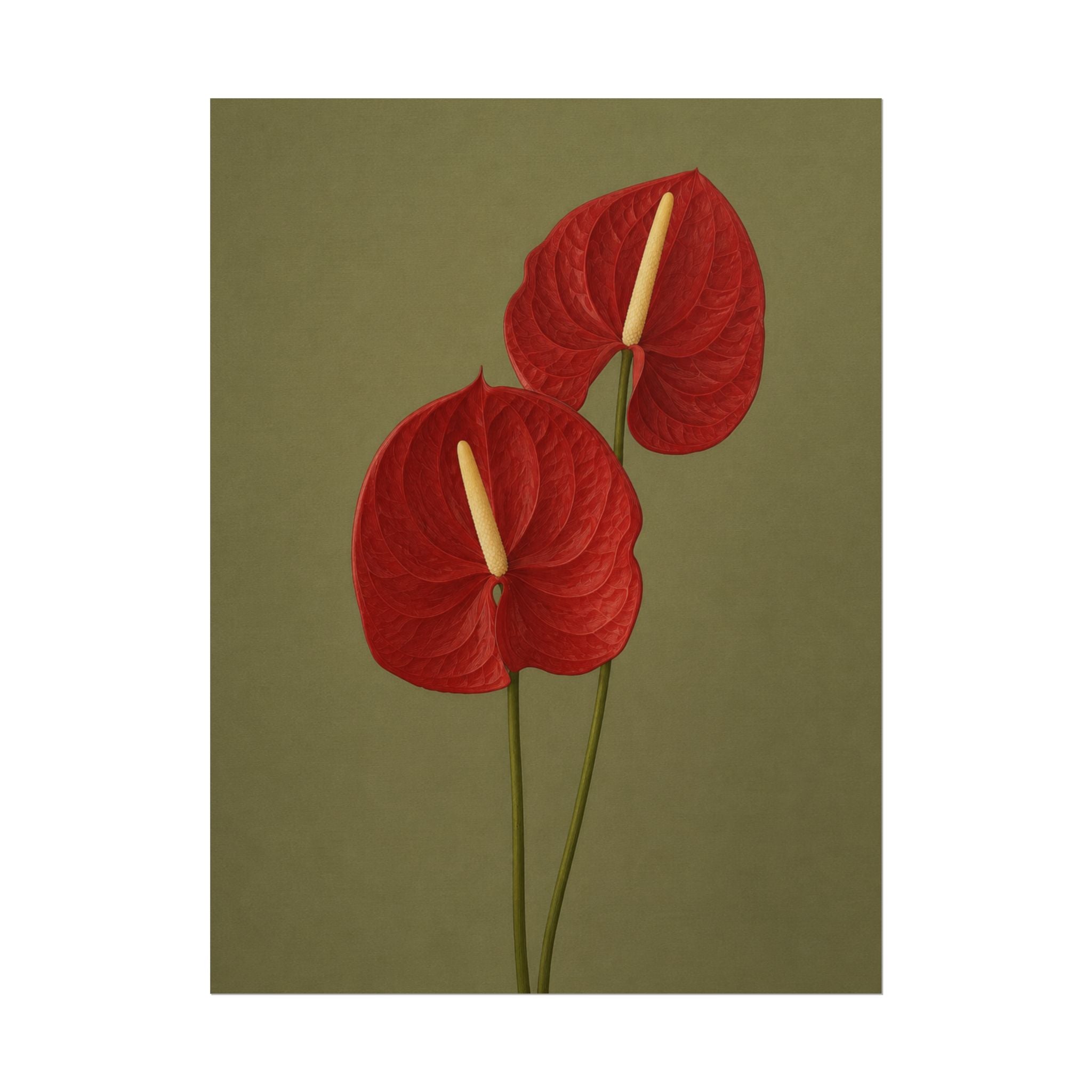 Red Anthurium Print