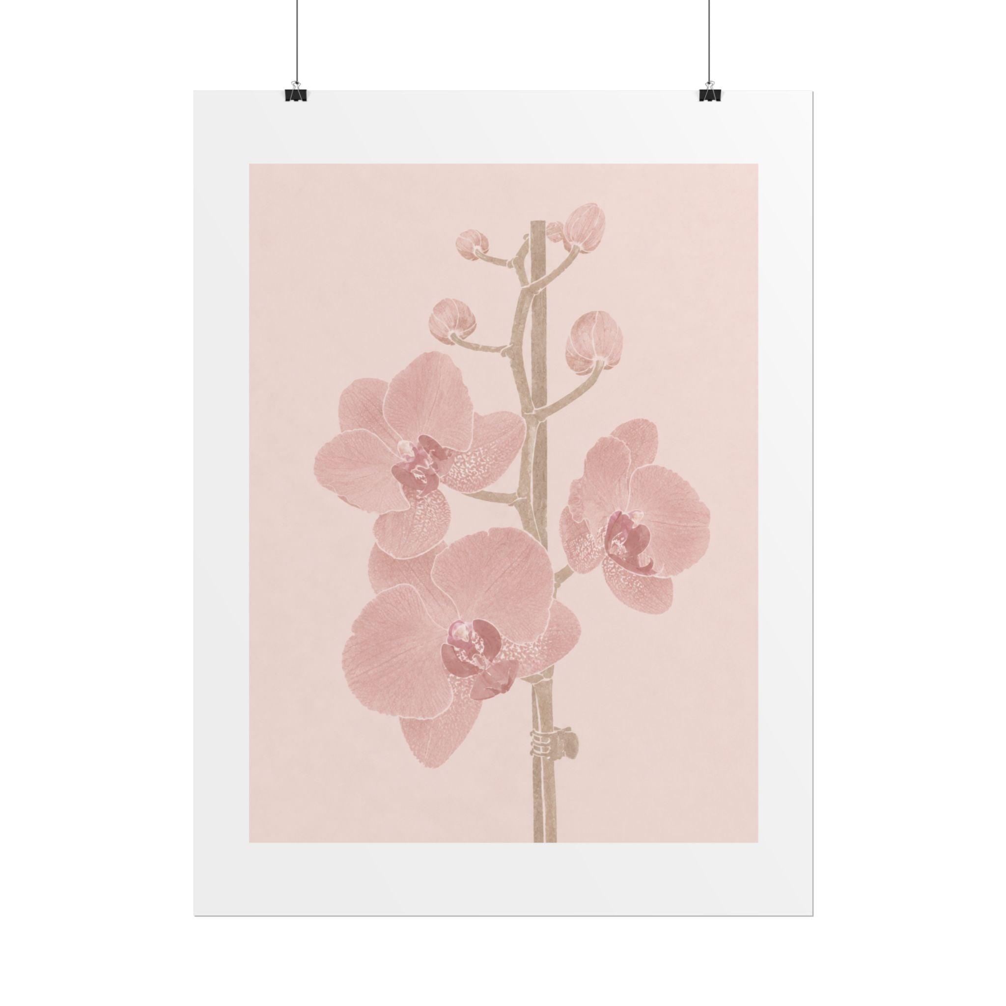 Blush Orchid Branch Print