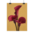 Burgundy Calla Lily Print