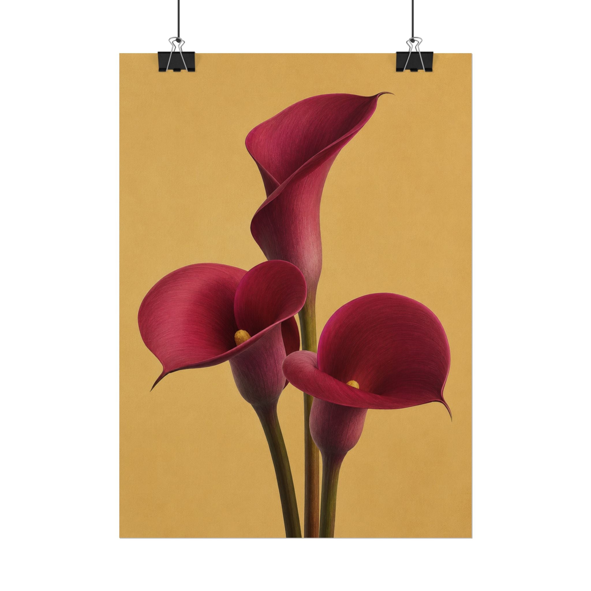 Burgundy Calla Lily Print
