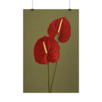 Red Anthurium Print