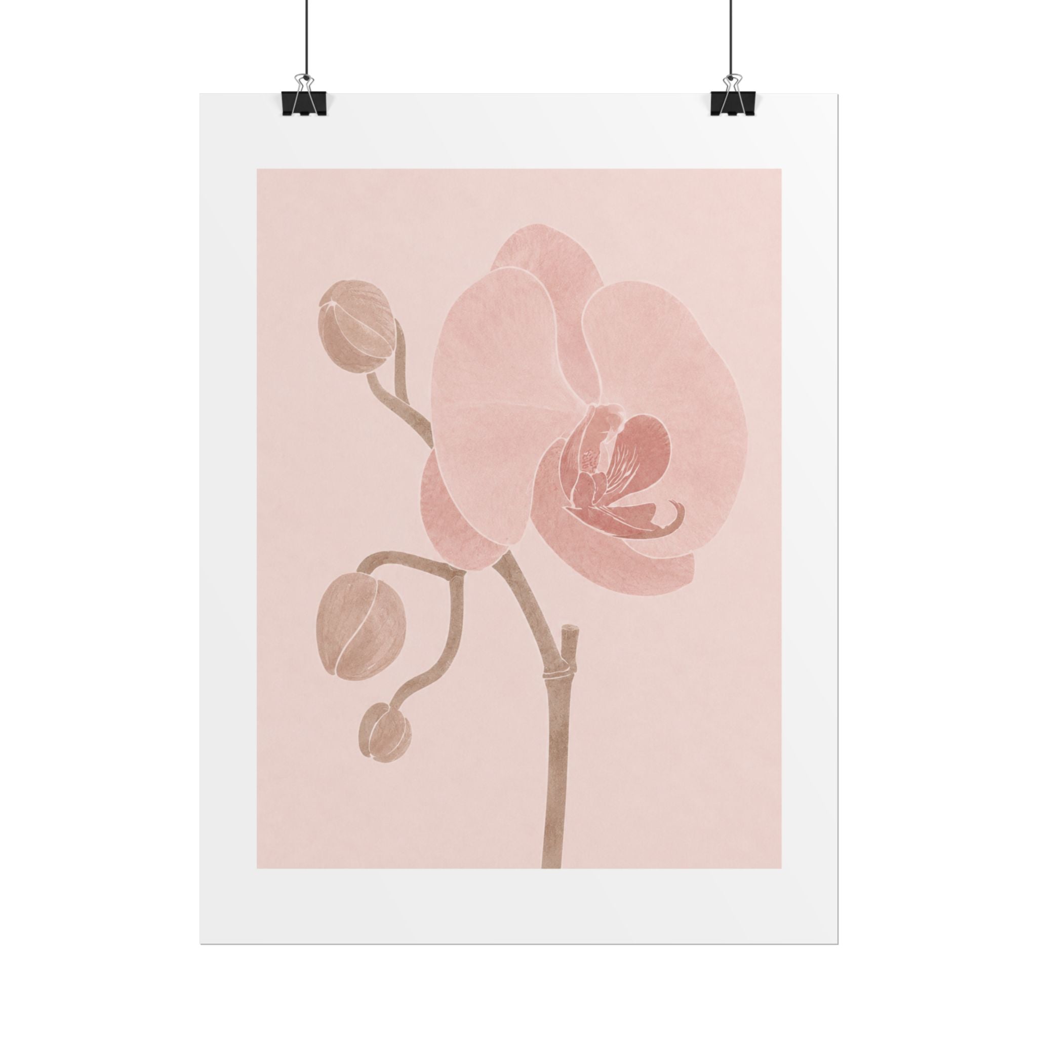 Soft Pink Orchid Print