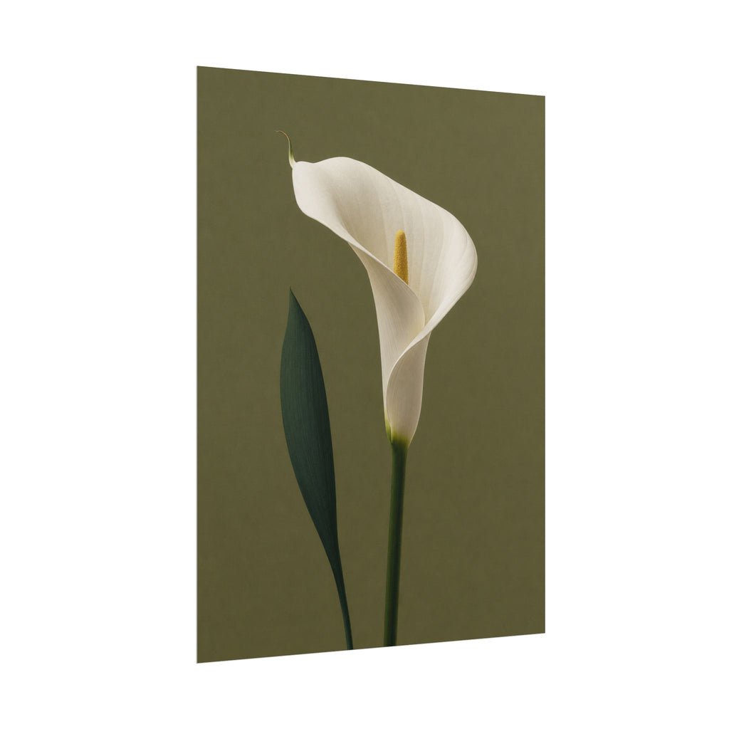 White Calla Lily Print
