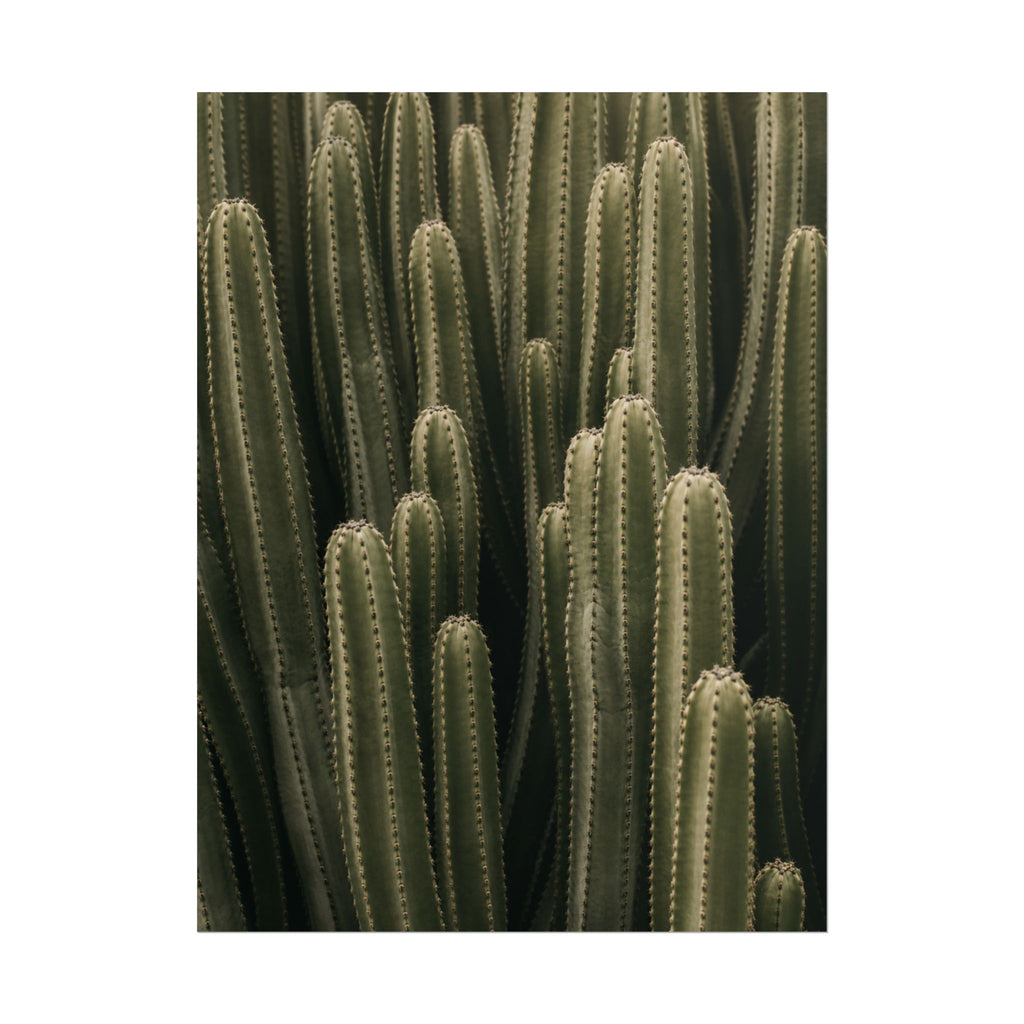Column Cactus Print