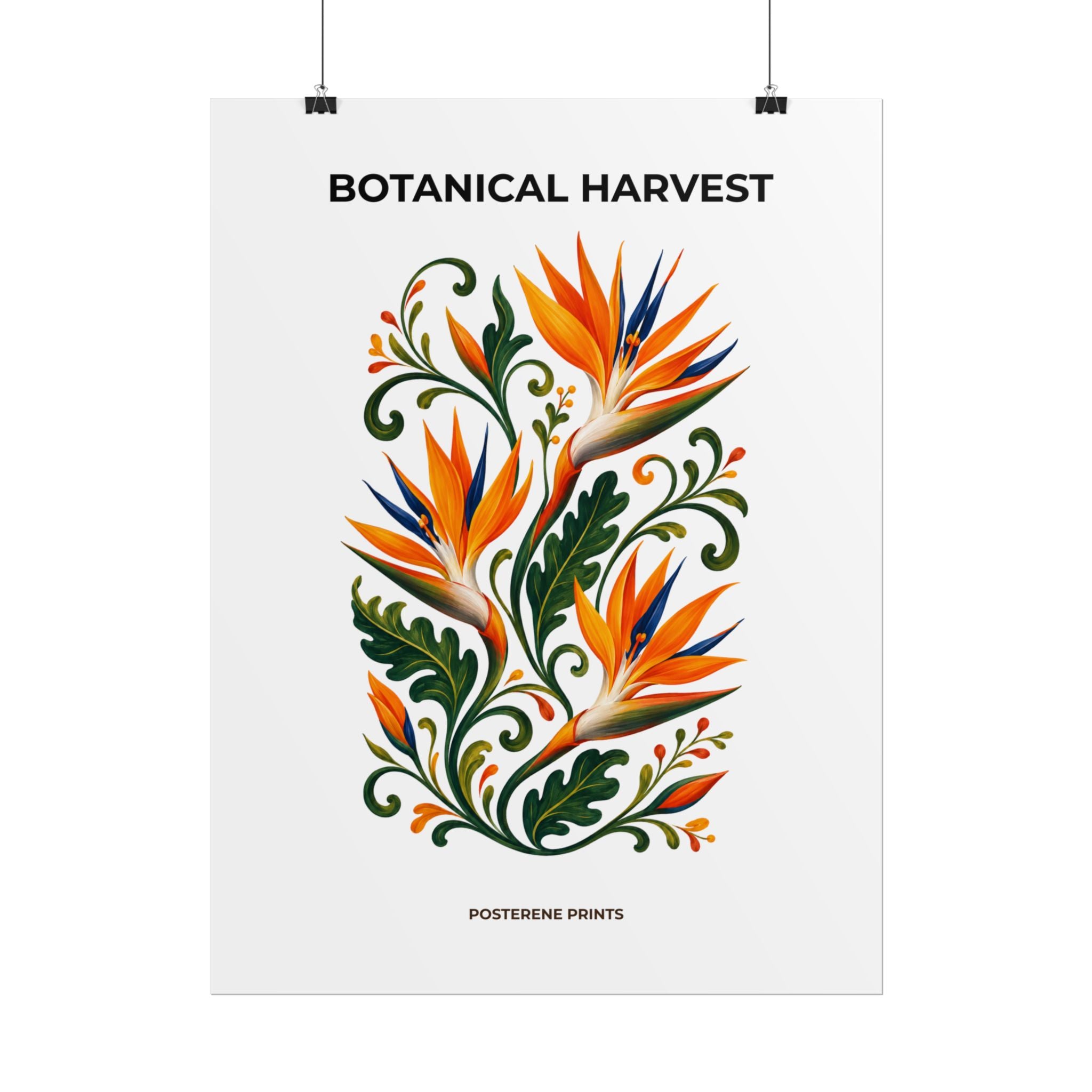Bird of Paradise Botanical Print