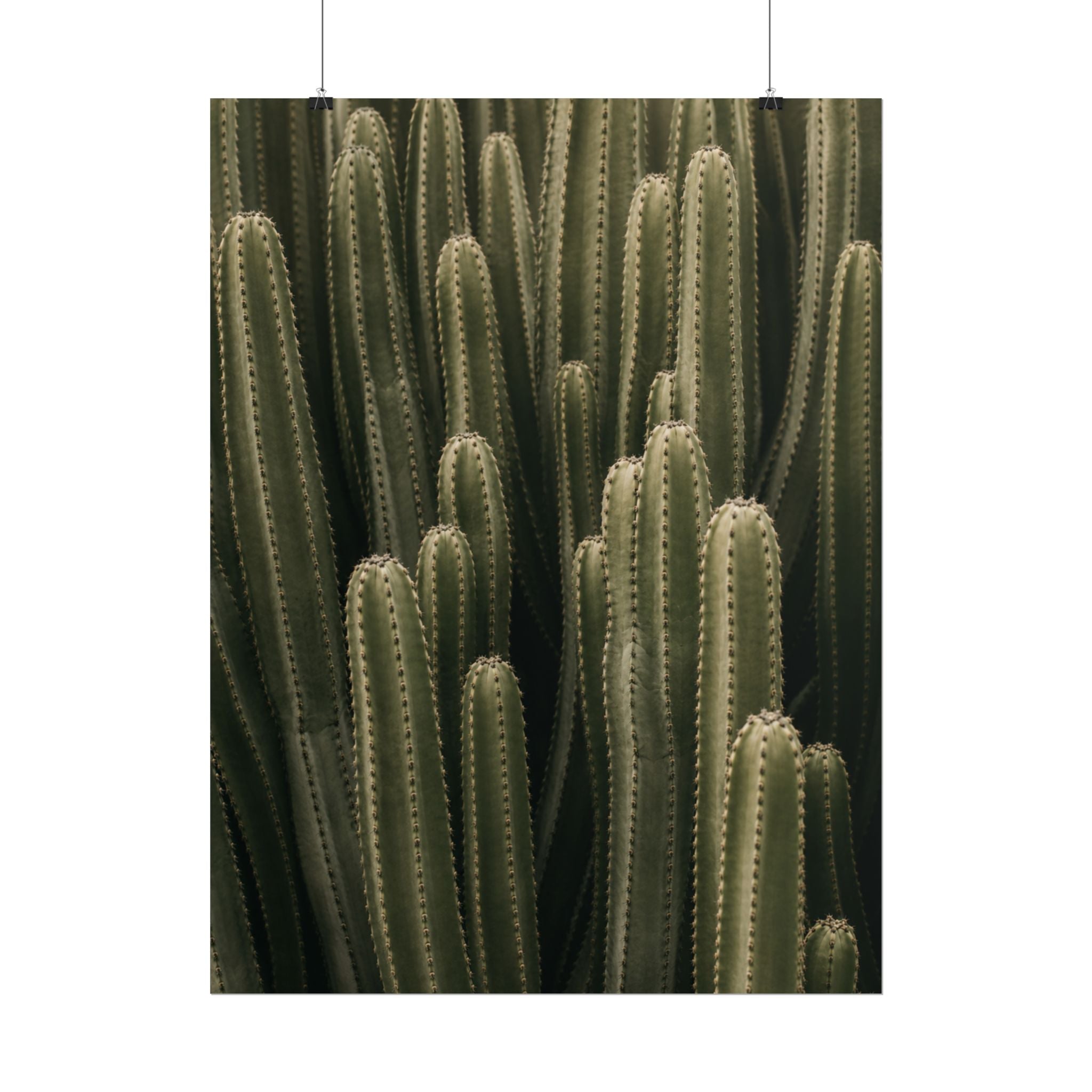Column Cactus Print