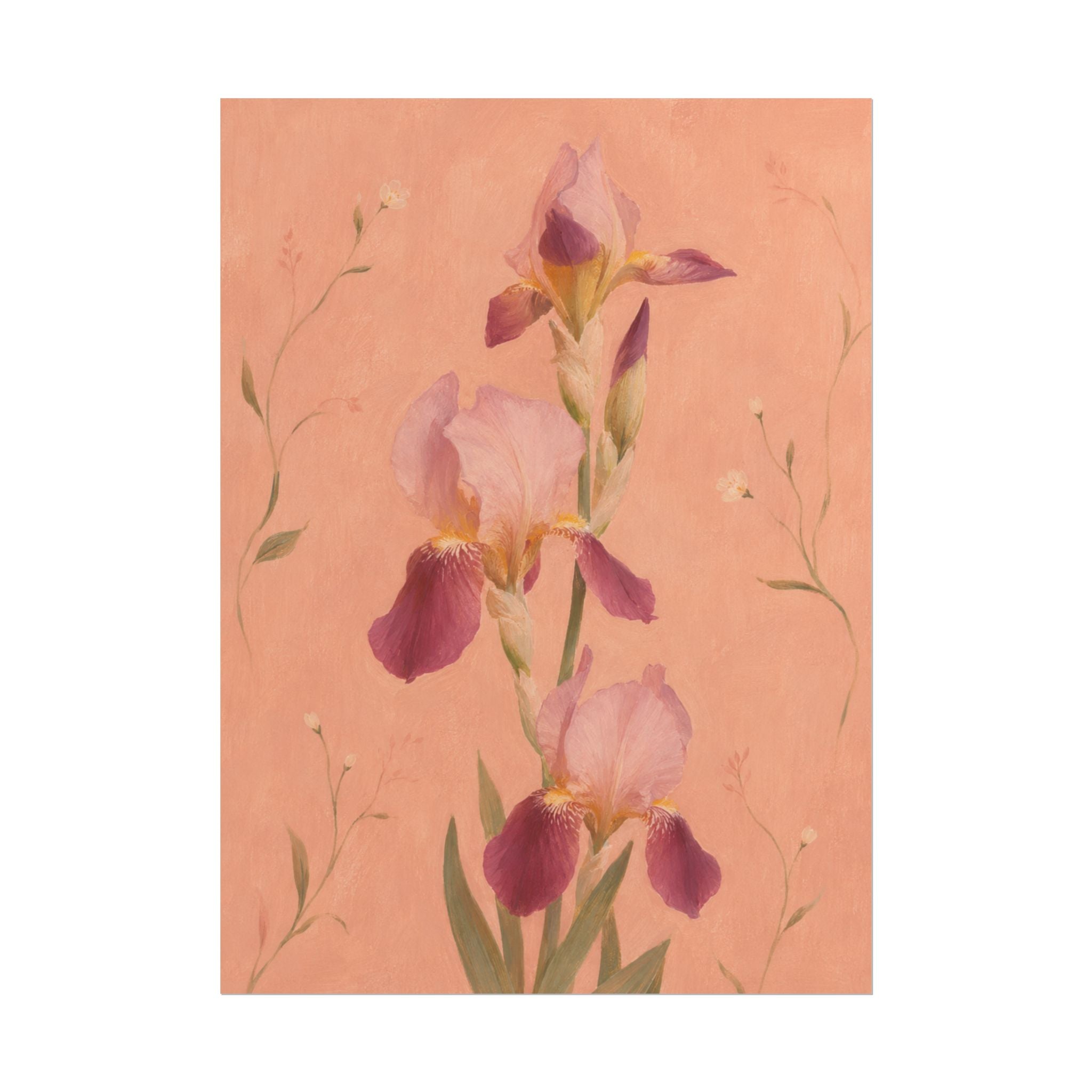 Blush Iris Print