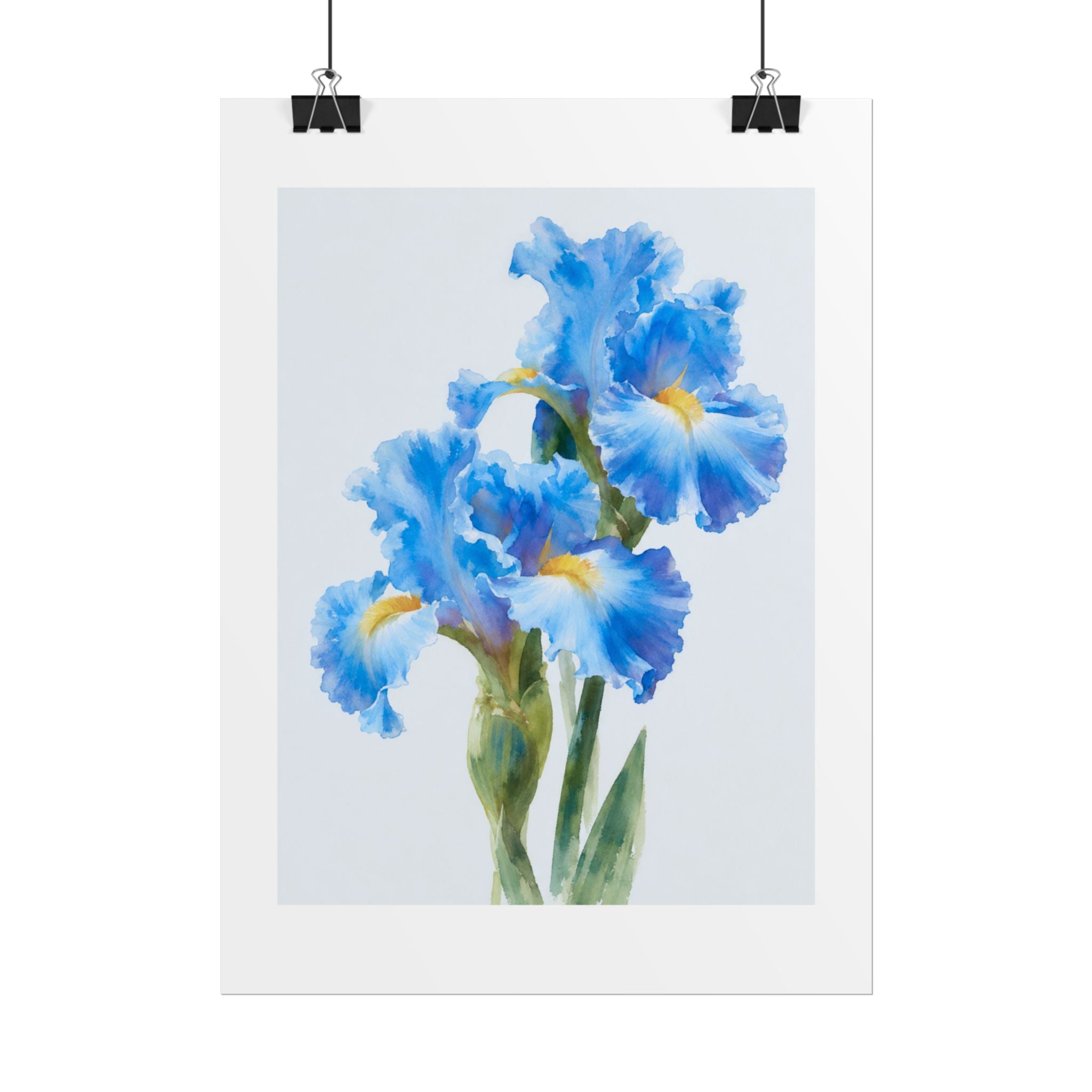 Blue Iris Watercolor Print