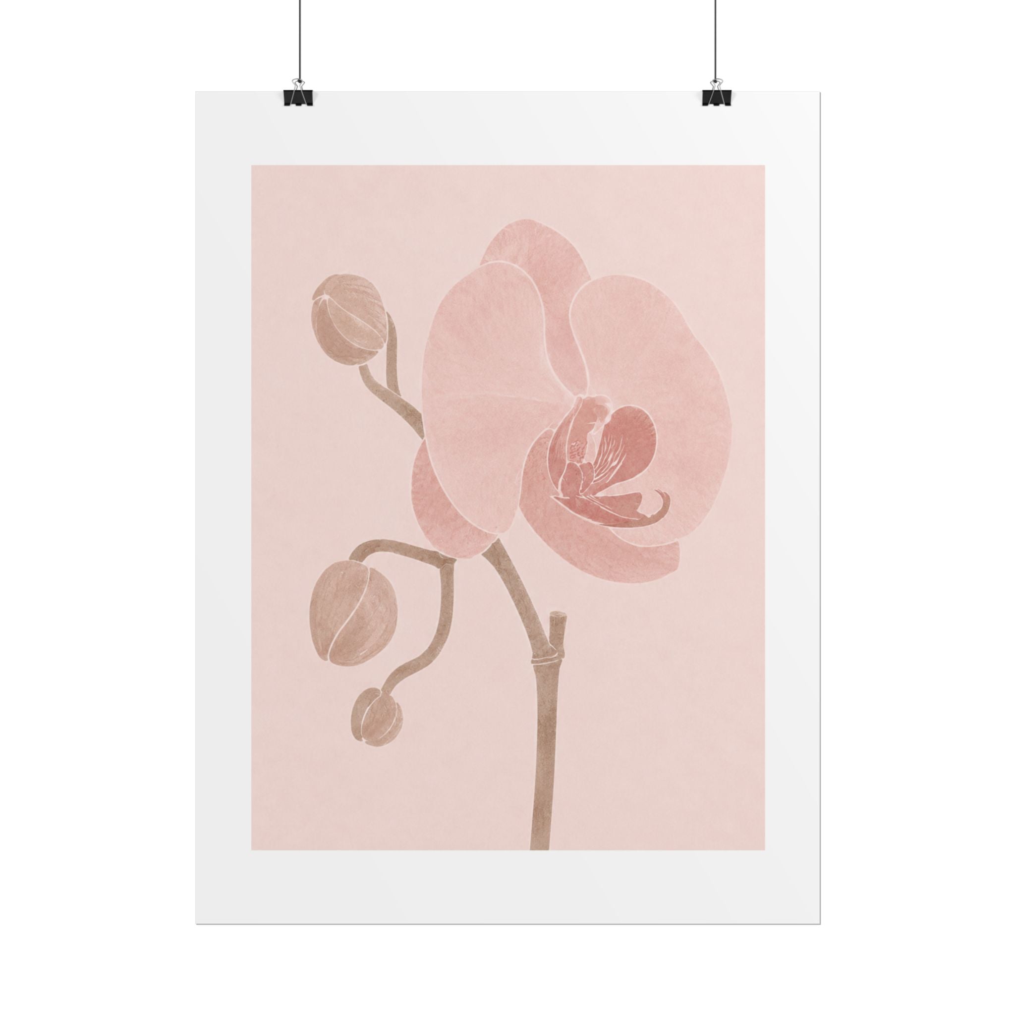 Soft Pink Orchid Print