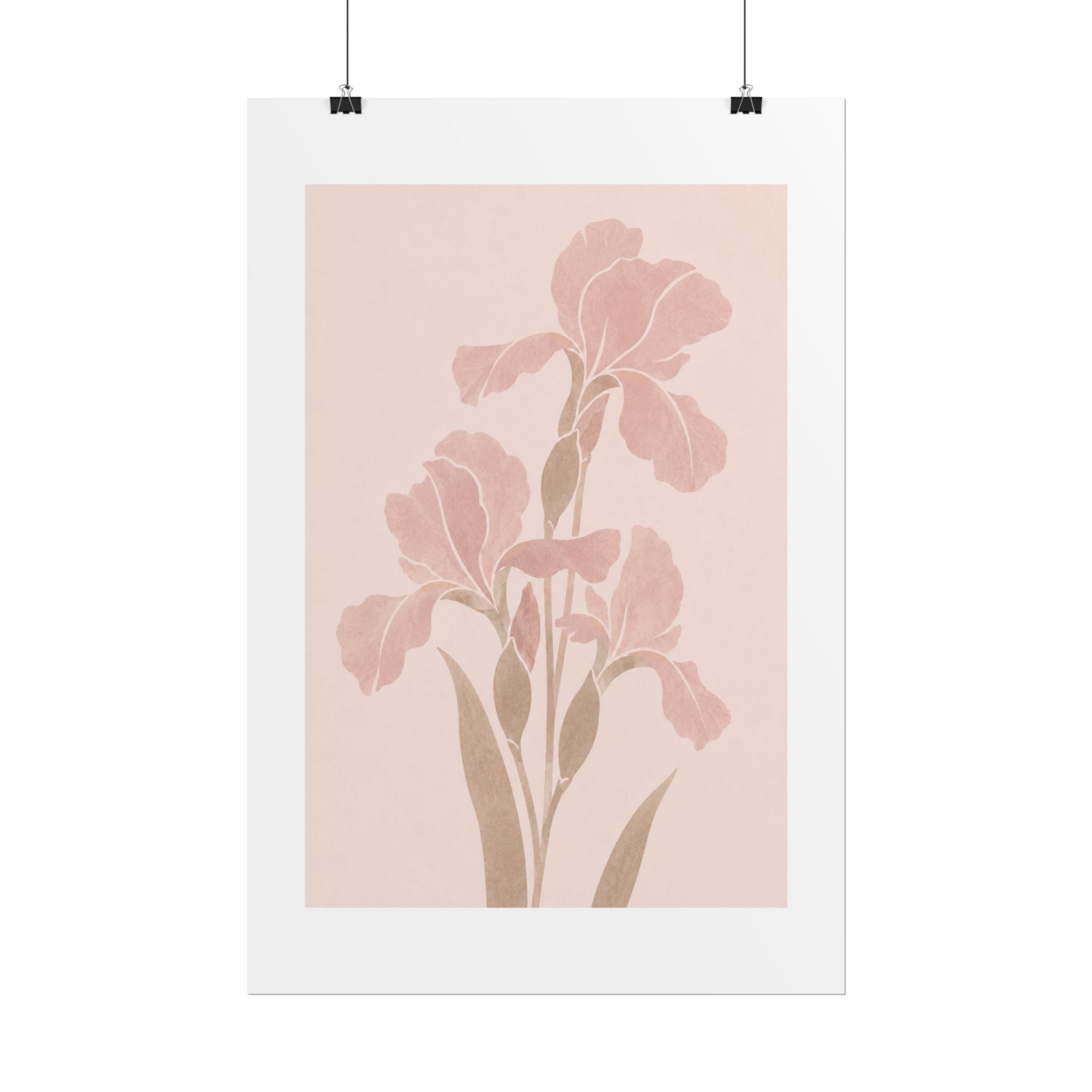 Blush Iris Stem Print