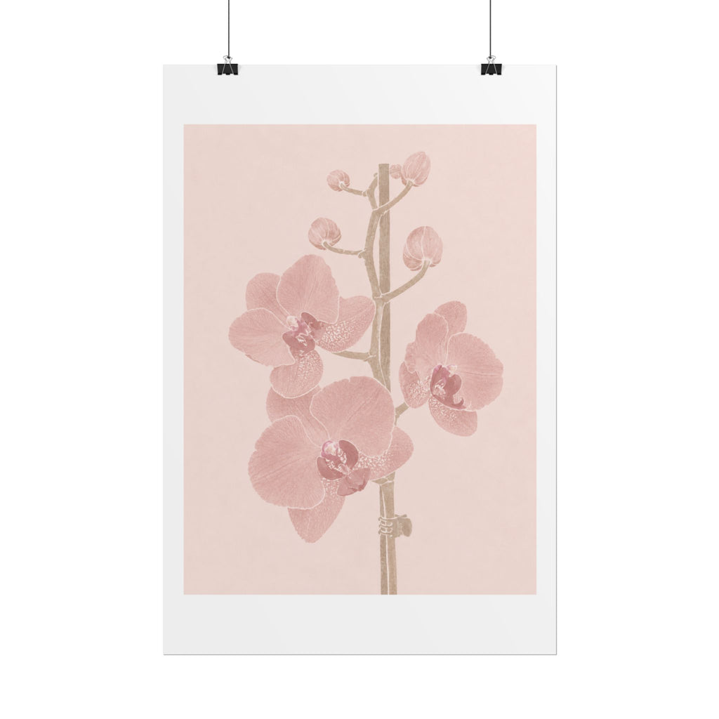 Blush Orchid Branch Print