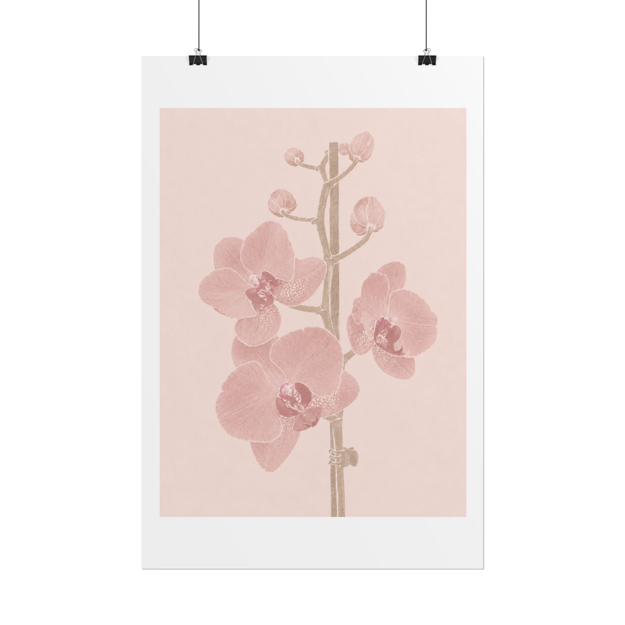 Blush Orchid Branch Print