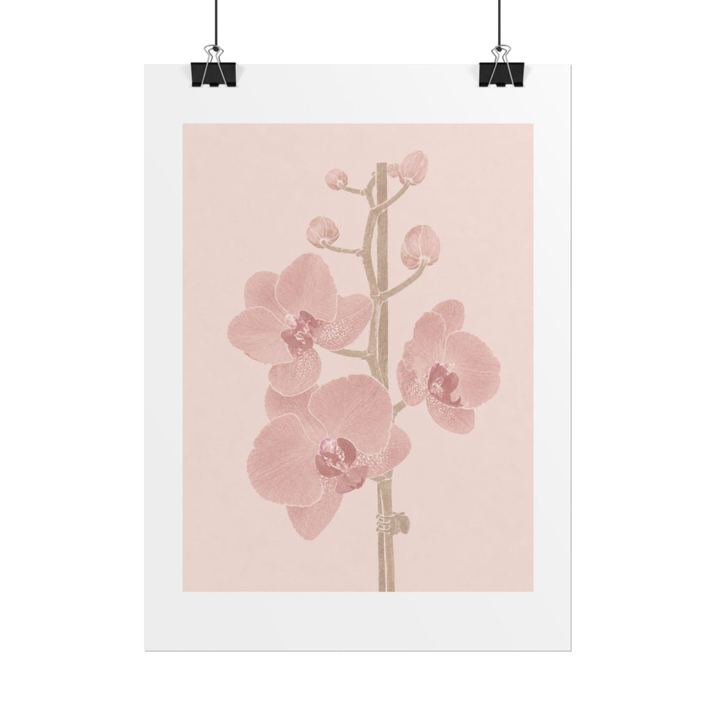 Blush Orchid Branch Print
