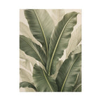 Banana Leaves Print
