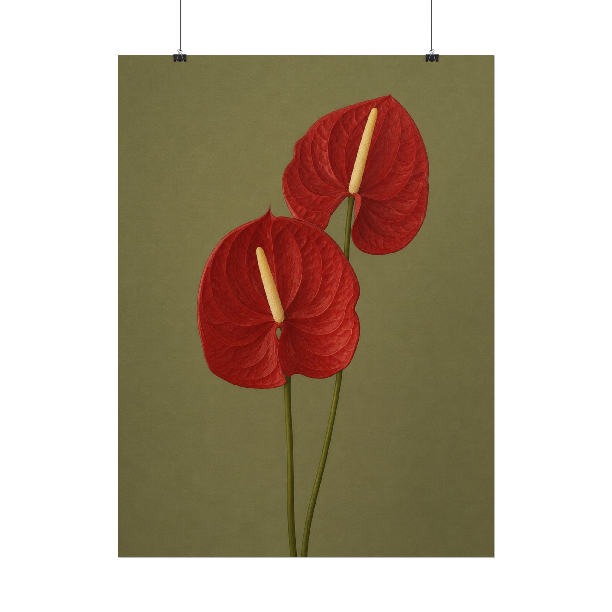 Red Anthurium Print