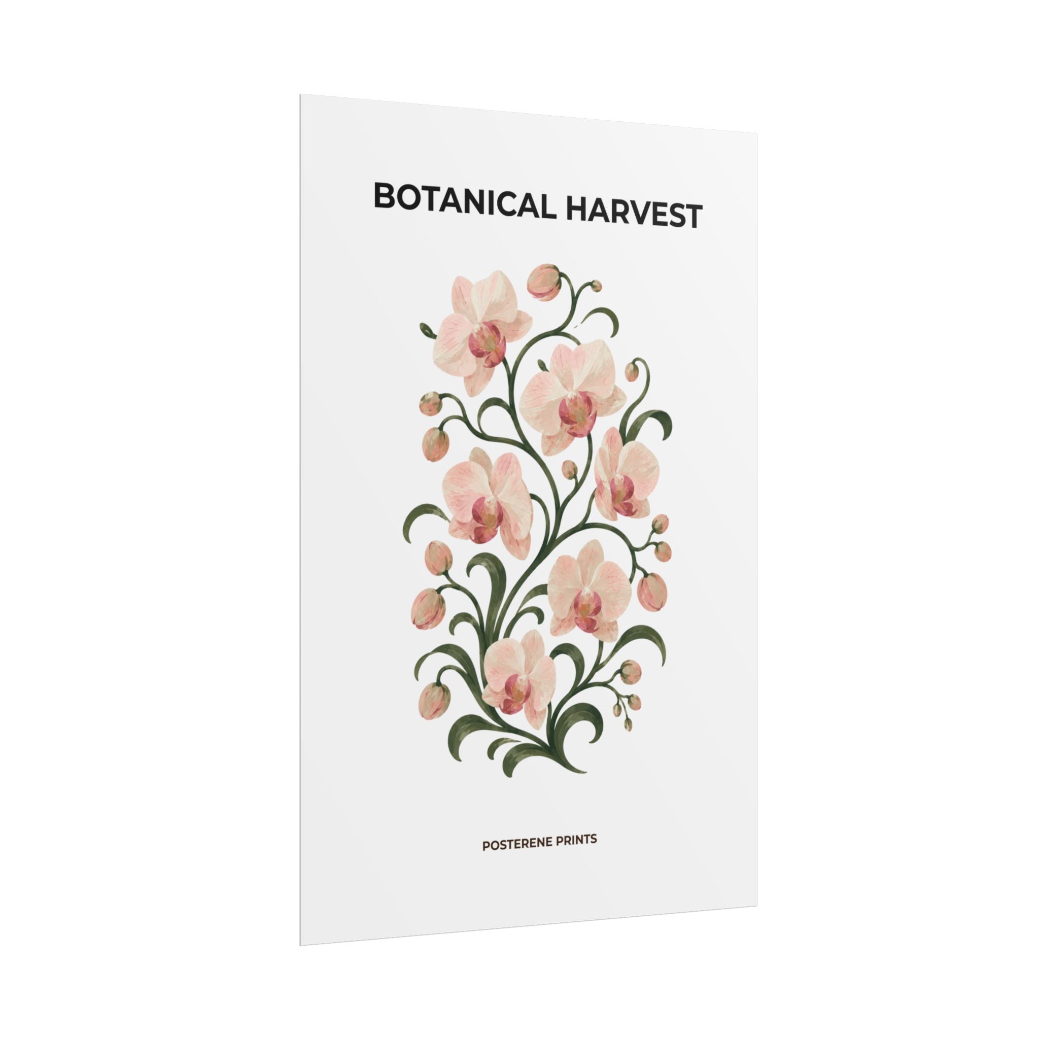 Soft Orchid Botanical Print