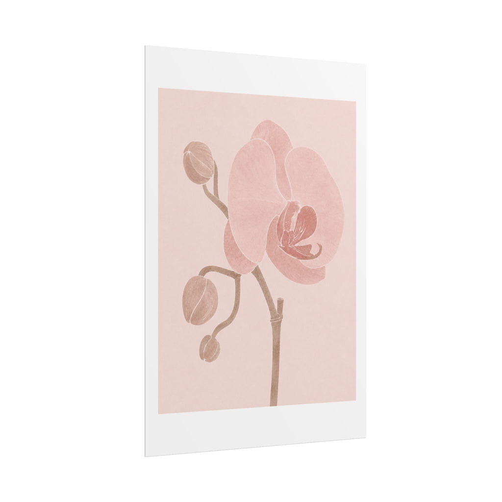 Soft Pink Orchid Print
