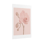 Soft Pink Orchid Print