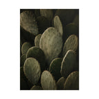 Dark Cactus Print