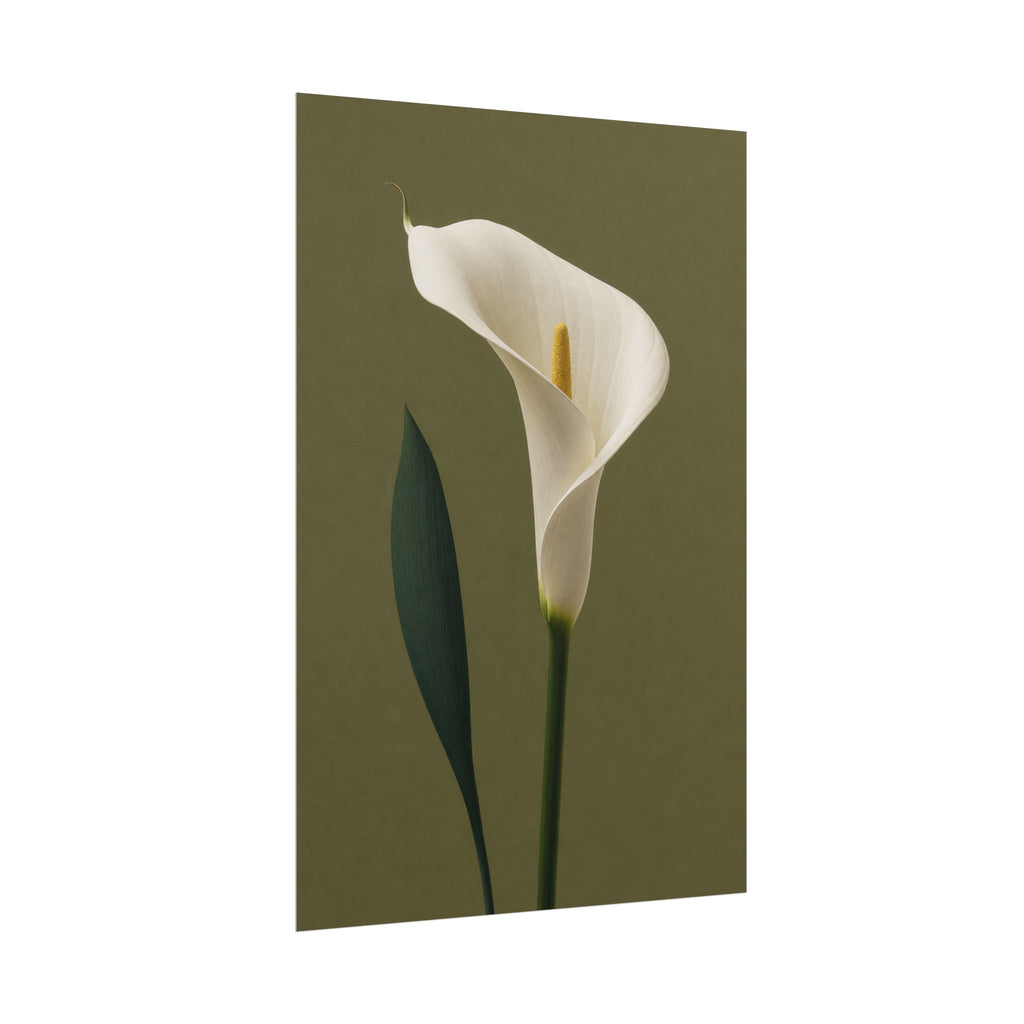 White Calla Lily Print
