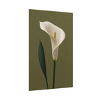 White Calla Lily Print