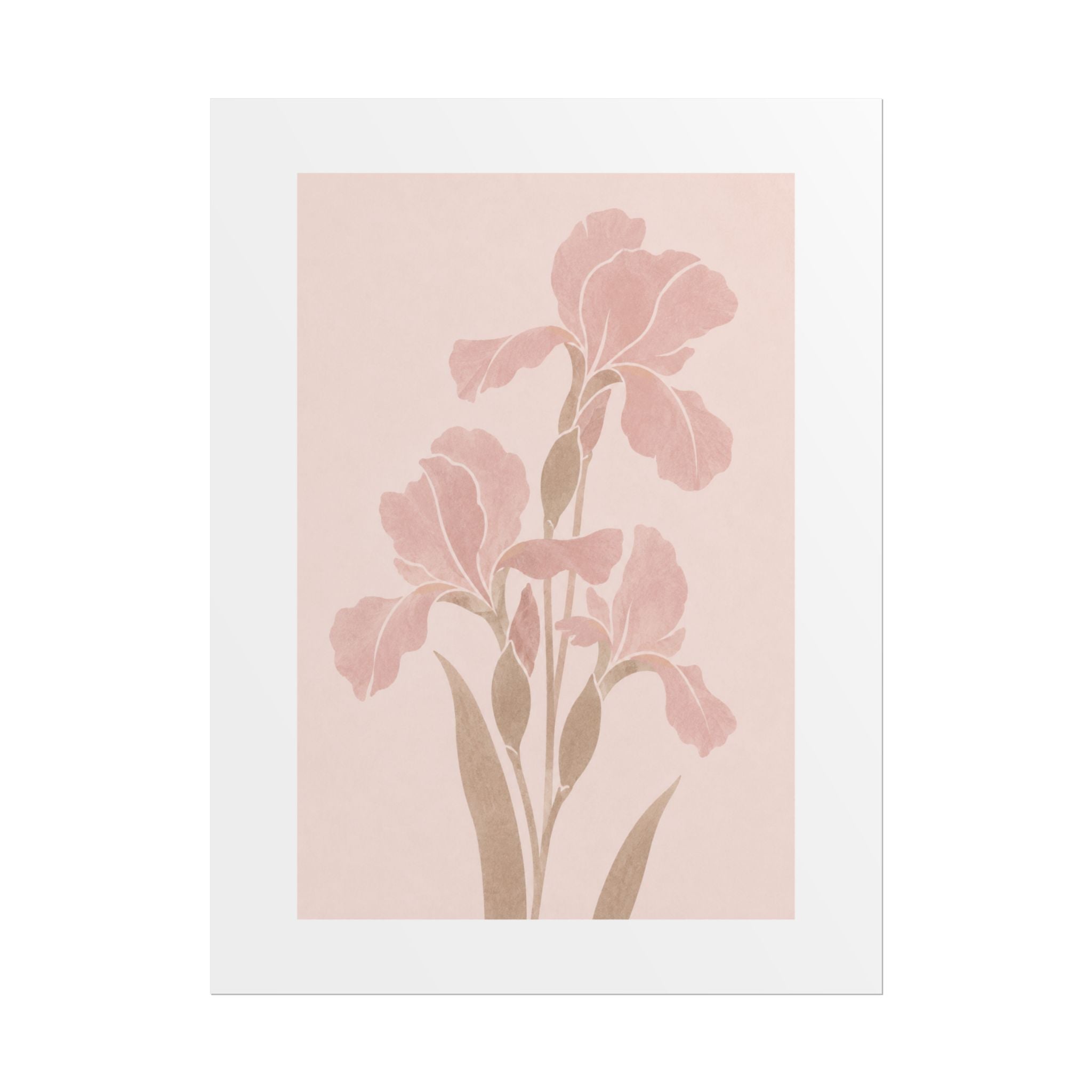 Blush Iris Stem Print