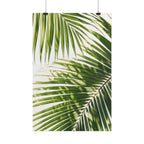 Palm Leaf Shadow Print