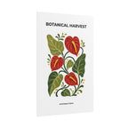 Anthurium Botanical Print