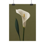 White Calla Lily Print