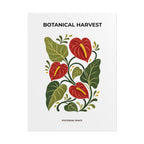 Anthurium Botanical Print
