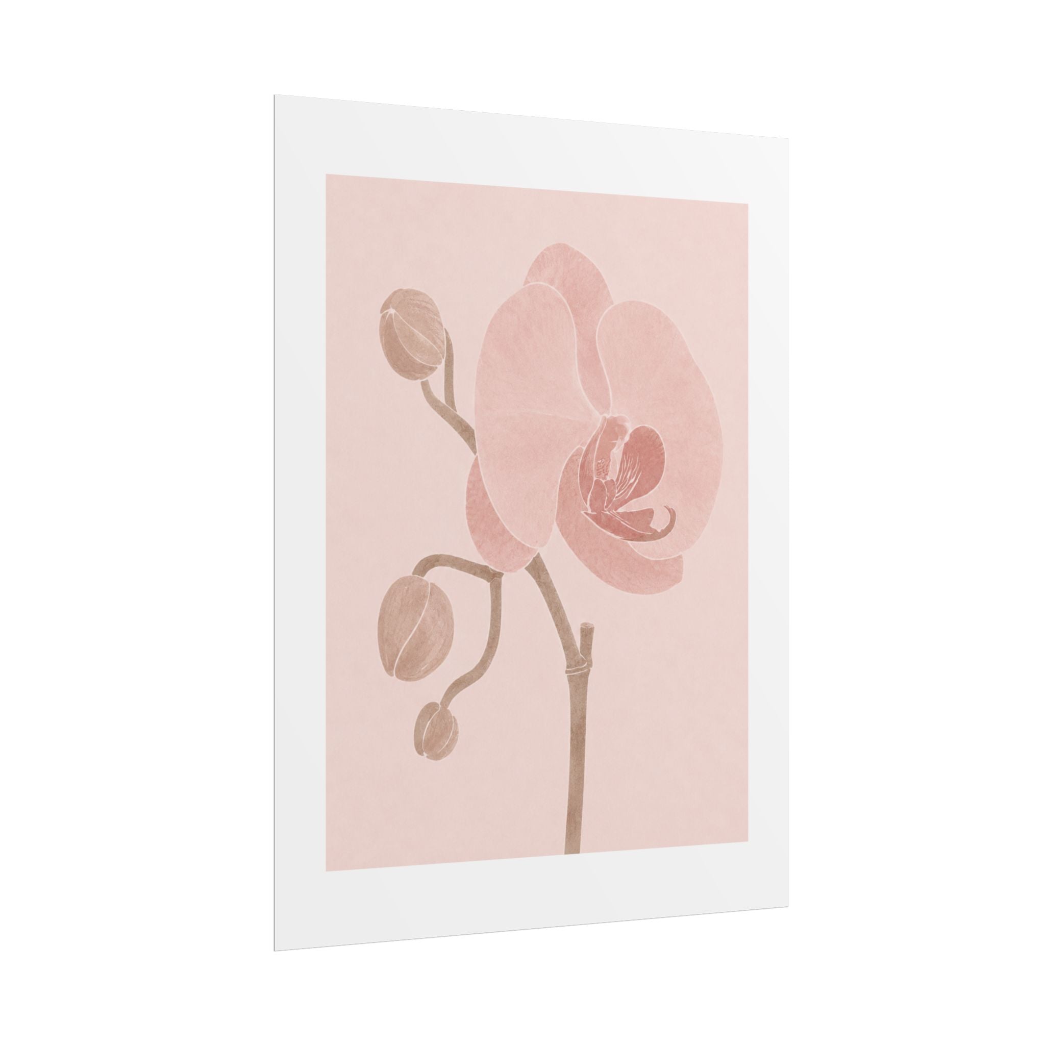 Soft Pink Orchid Print