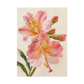 Pink Hibiscus Print