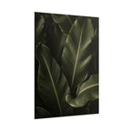 Dark Banana Leaf Print
