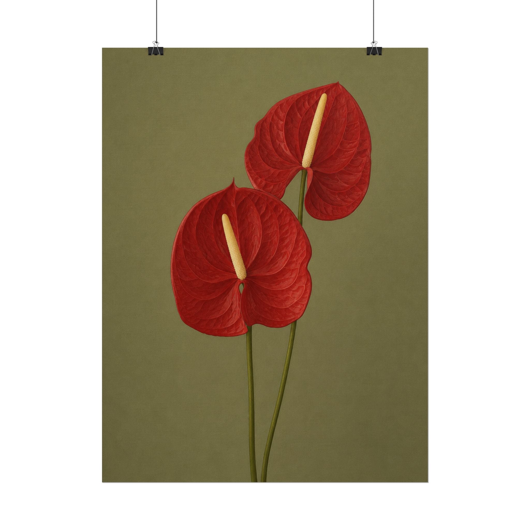 Red Anthurium Print