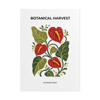 Anthurium Botanical Print