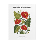 Anthurium Botanical Print