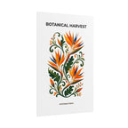 Bird of Paradise Botanical Print