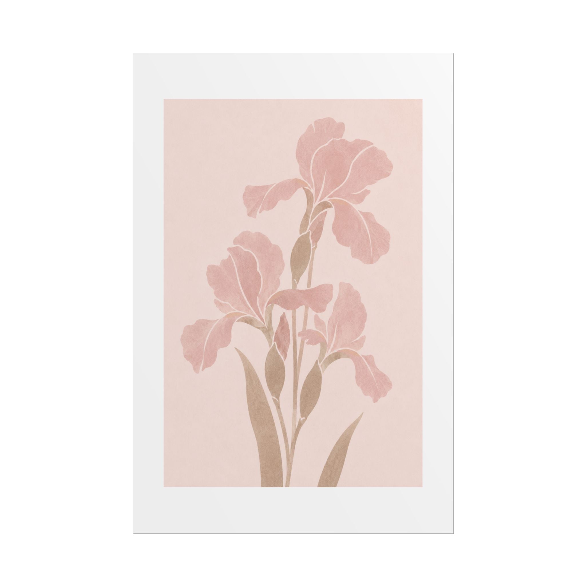 Blush Iris Stem Print
